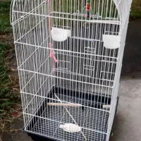 پرنده پیدا شده