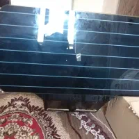 هود