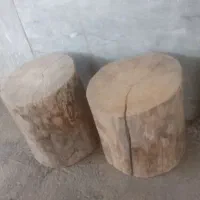 هرس درختان باغات|خدمات باغبانی و درختکاری|کرج, نوروزآباد|دیوار