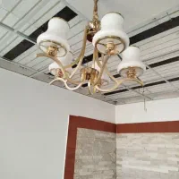 لوستر  لهستانی سالم