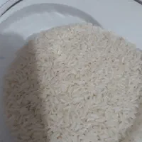 برنج هاشمی درجه یک به شرط پخت محصول زمین خودم