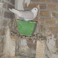 دوکت