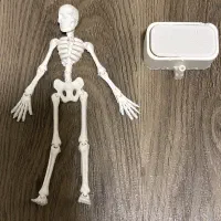 اسکلت رقصان آکواریوم به قیمت عمده