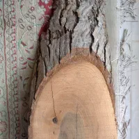 تخته چوب ۵۰ سانتی|مصالح و تجهیزات ساختمان|قم, سعادتی|دیوار