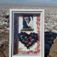 تابلو دیواری|تابلو، نقاشی، عکس|سیرجان, |دیوار