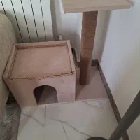 اسکراچ و خونه گربه