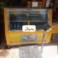 وسایل مغازه آبمیوه گیری و سبزی خرد کن