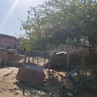 خانه|فروش خانه و ویلا|صحنه, |دیوار