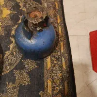 پیکنیک