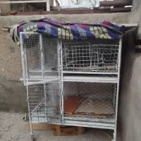 قفس پرنده..