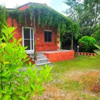 ویلا-همکف-شهرکی-گل-گیاه-کاری