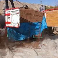 سبوس‌پوسته‌بادام‌زمینی‌وانار