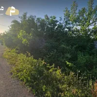 1300متر زمین مسکونی با سند قطعی در رشت چولاب|فروش زمین و ملک کلنگی|لولمان, |دیوار