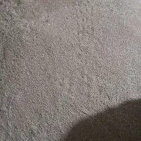 فروش گندم دیم