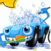 نیروی کار کارواش