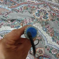 المنت آکواریوم|ماهی|سنندج, |دیوار