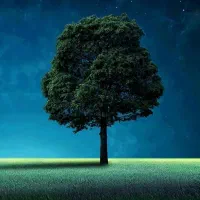 فروش زمین برای سوله و باغ