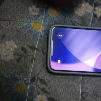 13 نرمال پلم