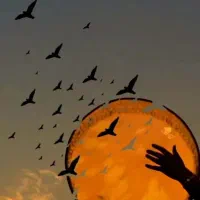 آموزش دف تنبک هنگدرام