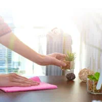 نظافت منزل خانم