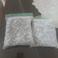 فروش باقلا تازه چین