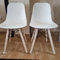 صندلی و میز عسلی|صندلی و نیمکت|اردبیل, |دیوار