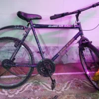 دوچرخه ۱ میلیون  خرج دارد