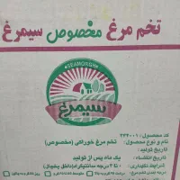 پخش عمده تخم مرغ سیمرغ