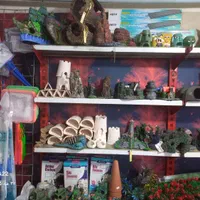 آکواریم فروشی|ماهی|اسلامشهر, مطهری|دیوار