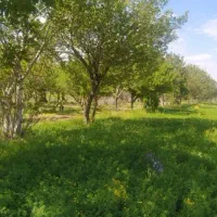 فروش آپارتمان مسکن مهر ولایت طبقه 1