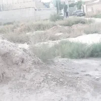 علی آباد رسالت۱۵۳زمین۱۰۰متری|فروش زمین و ملک کلنگی|مشهد, علی آباد|دیوار