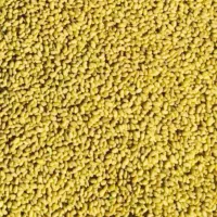 بذر یونجه (قره یونجه)