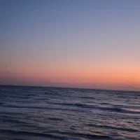 تور سیراف و نخل تقی