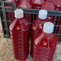 اب زرشک کوهی