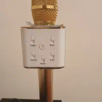 میکروفون اسپیکری|سیستم صوتی خانگی|فردیس, فردیس|دیوار