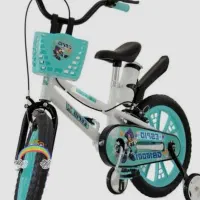 دوچرخه 16سونیک داخل کارتن پلمپ