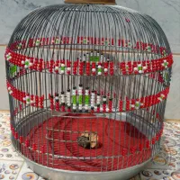 قفس طرقه سهره خاکی