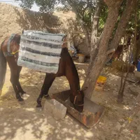 سلام دوستان این نریون آرام وگله ای هست