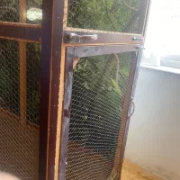 قفس پرندگان|لوازم جانبی حیوانات|لاهیجان, رجایی|دیوار