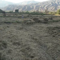 پرس کلش برنج