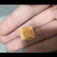 مهره هندی سالم