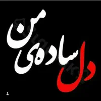 شرکت نفیس پوست وموفروش