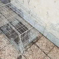 قفس جوجه گیری کبوتر