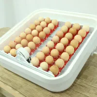 دستگاه جوجه کشی 48 تایی مدل ایزی باتور|لوازم جانبی حیوانات|مشهد, ملک‌آباد|دیوار