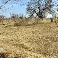 زمین-کشاورزی-کمربندی-گوگد