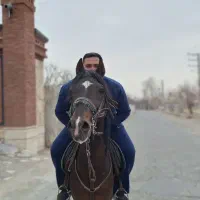 اسب نریان کرد سواریدار