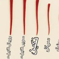 دستگاه خشک کن زعفران پرو پلاس بهرامی|عمده‌فروشی|مشهد, ثامن|دیوار
