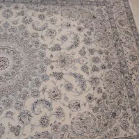 فرش دستباف|فرش|تهران, دردشت|دیوار