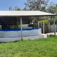 استخر پرورش ماهی|فروش دفتر صنعتی، کشاورزی، تجاری|پره‌سر, |دیوار