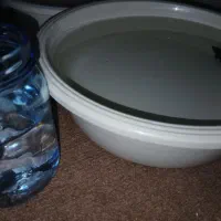 فایتر. گوپی.|ماهی|مشهد, موسوی قوچانی|دیوار